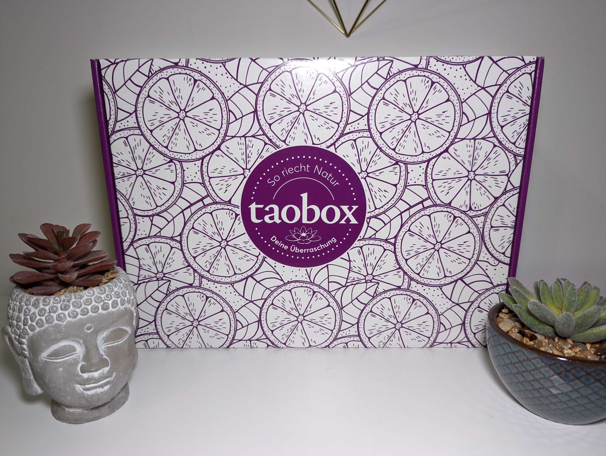 TaoBox – Summer Flow – Box