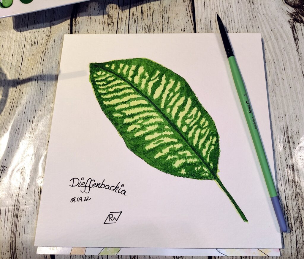 GreeneryInYourStyle - Challenge - Dieffenbachia 2