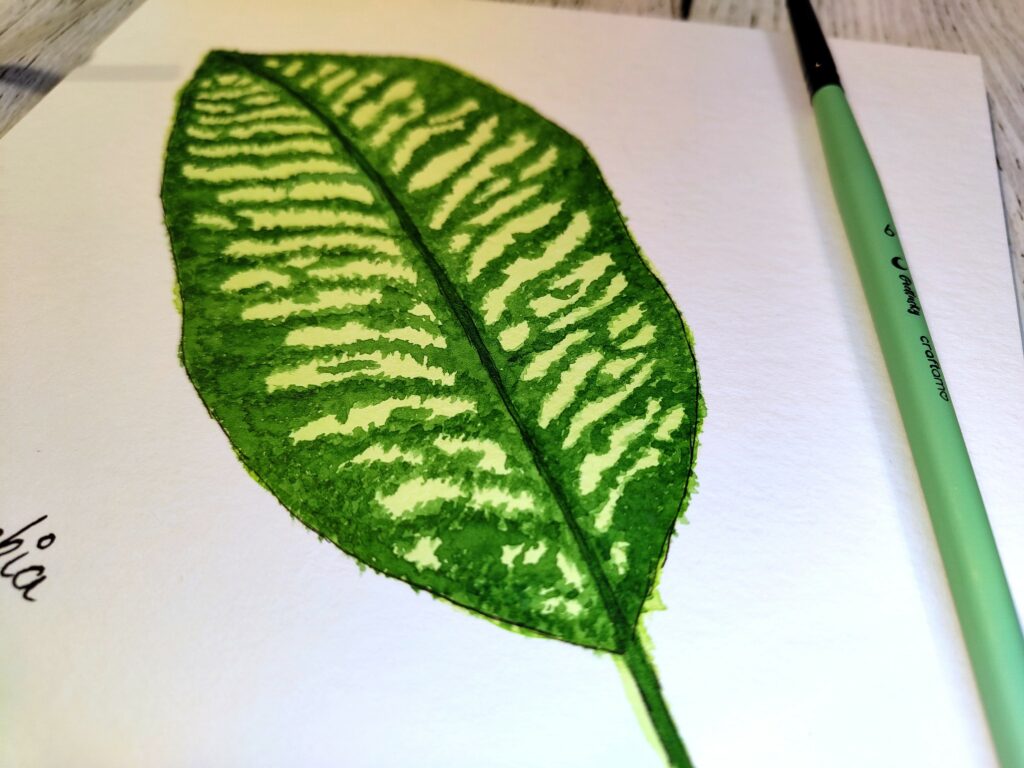 GreeneryInYourStyle - Challenge - Dieffenbachia 3