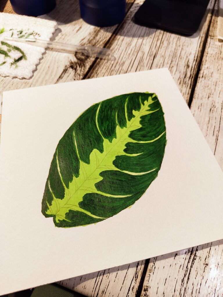 GreeneryInYourStyle - Challenge - Maranta Leuconeura 3