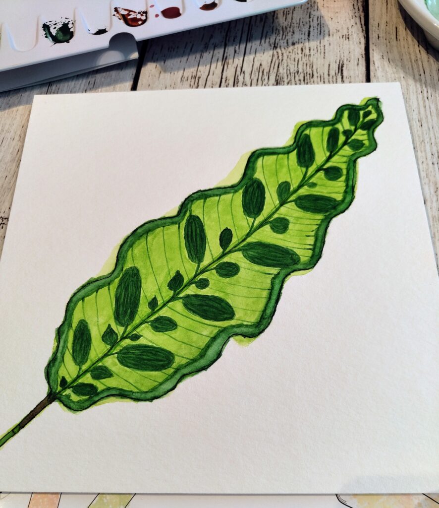 GreeneryInYourStyle - Challenge - Calathea Lancifolia 3