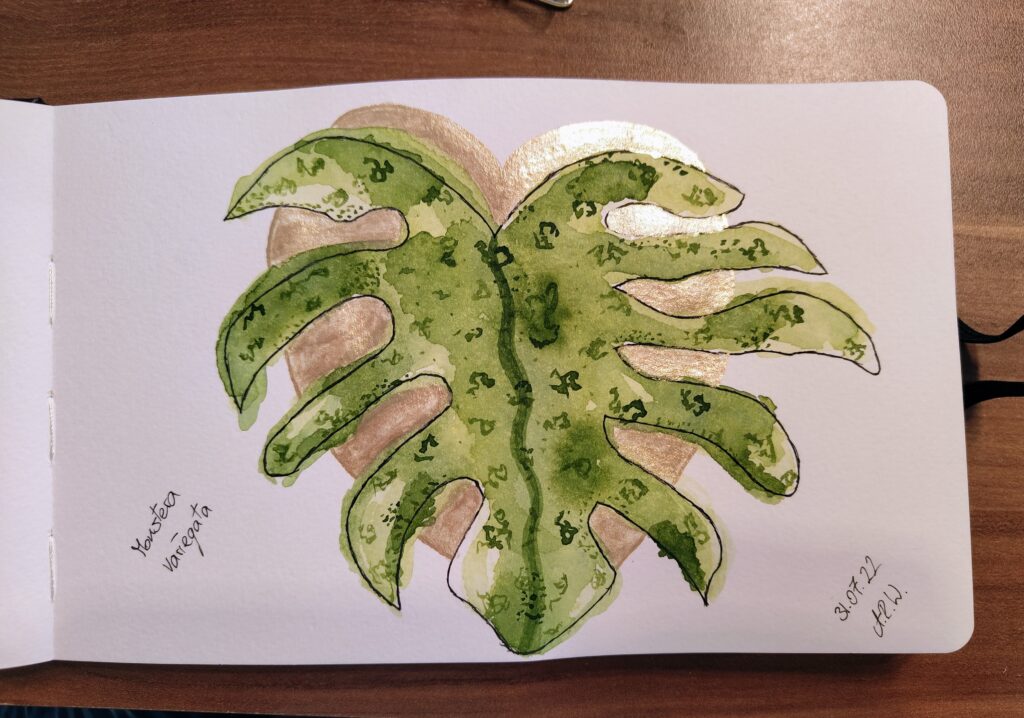 GreeneryInYourStyle - Challenge - Monstera Variegata 1