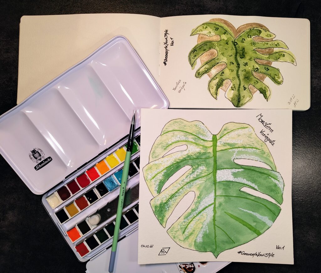 GreeneryInYourStyle - Challenge - Monstera Variegata 5