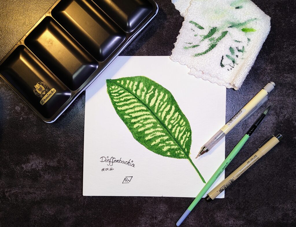 GreeneryInYourStyle - Challenge - Dieffenbachia 1