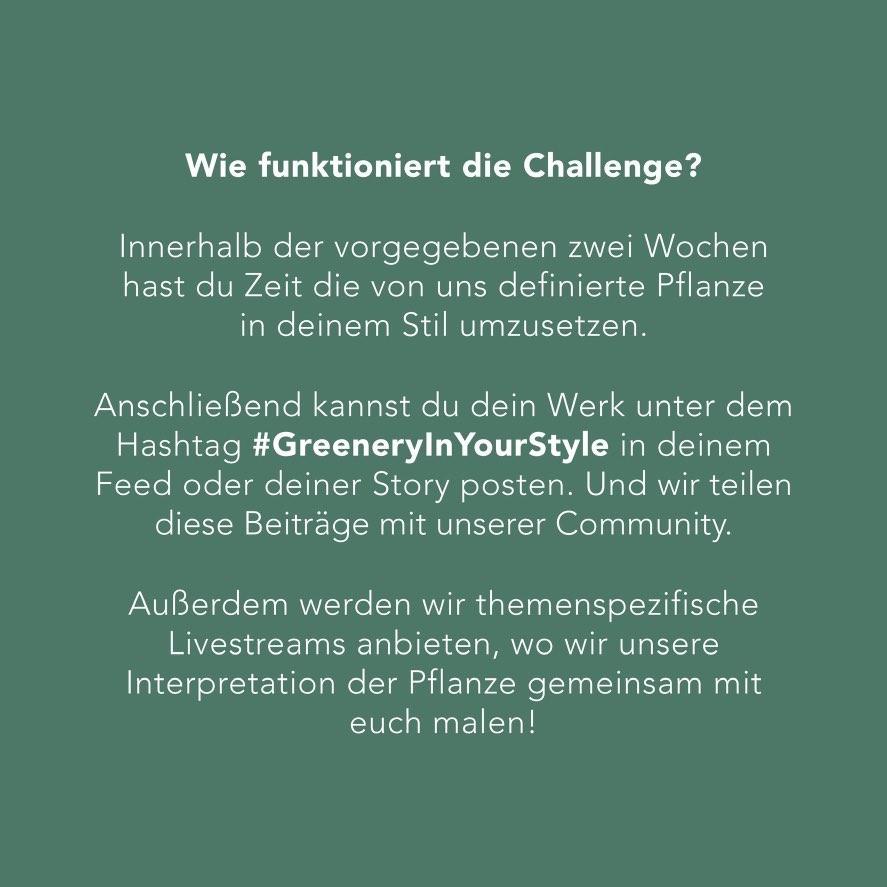 GreeneryInYourStyle - Challenge - Infos 3